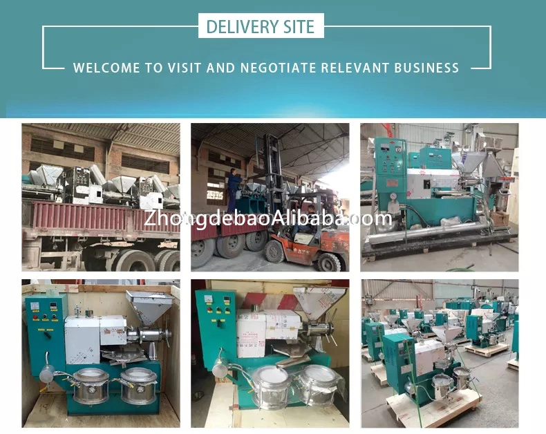 High Quality Rapseed Oil Making Machine Peanut Sunflower Soybean Oil Press Machine Pressing Production Line Rapeseed High Efficiency Soybean Peanut