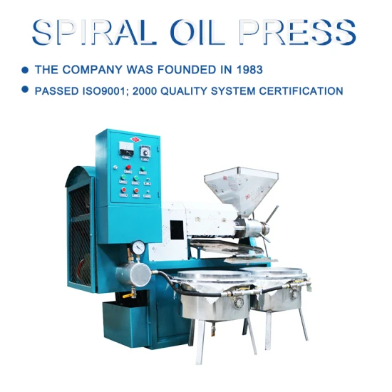 Machines de presse à chaud disponibles en stock moins cher pour l'extraction d'huile